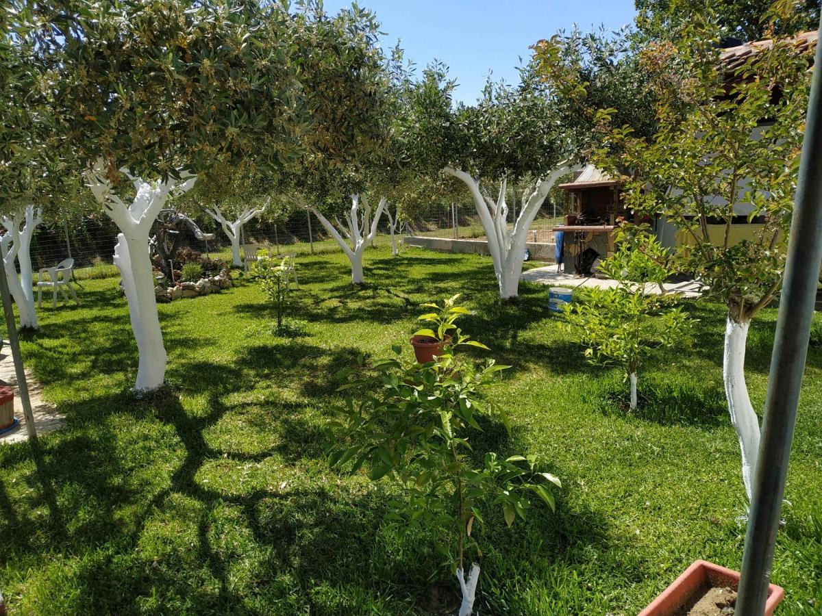 Villa Amarantos Beautiful Garden House Metokhion Patriotikon Exterior foto